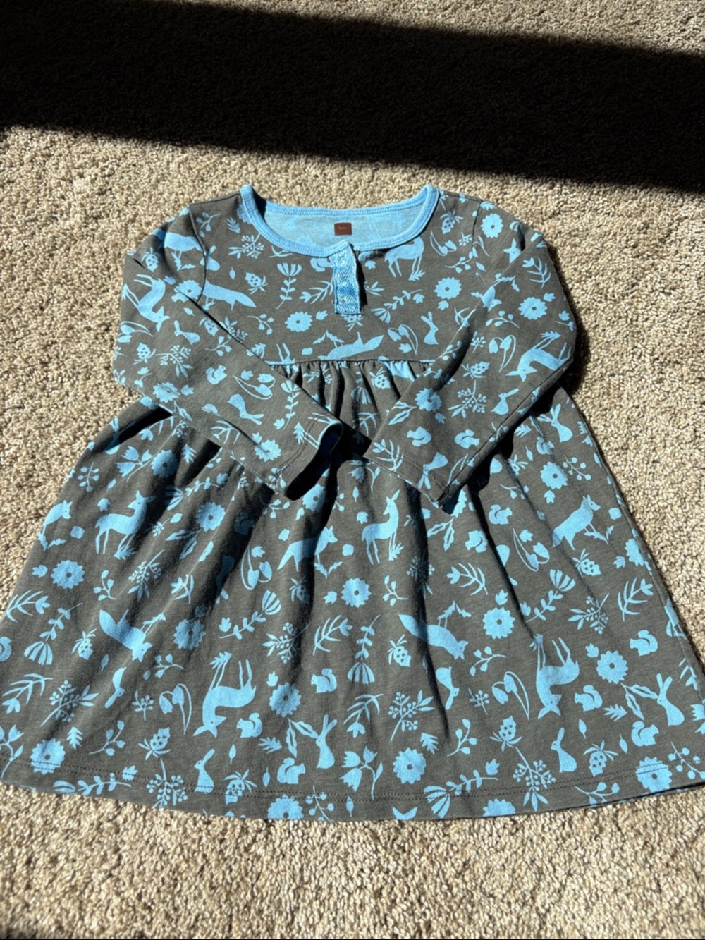 Tea Collection Blue and Brown Floral & Animal Print Long-Sleeve Dress 2T EUC